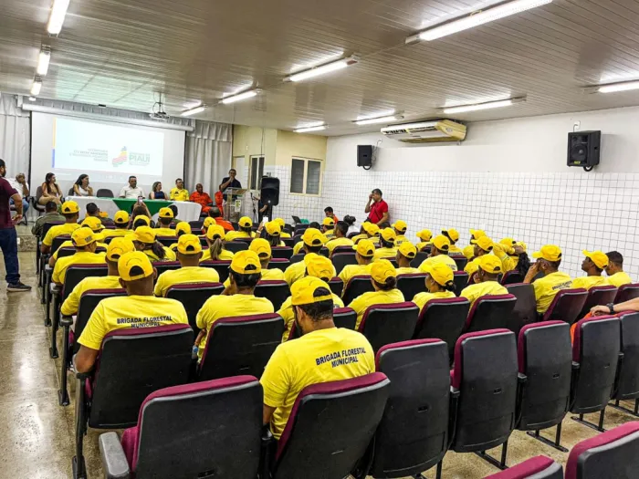 Piauí ultrapassa marca histórica de 1,4 mil brigadistas formados para combate a incêndios