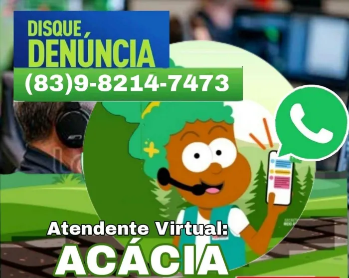 Semam disponibiliza novo número de WhatsApp para denúncias de infrações ambientais
