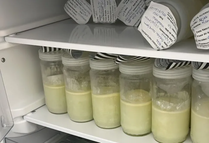 Agosto Dourado: Hospital Materno-Infantil Santa Catarina busca doadoras para manter fornecimento de leite materno