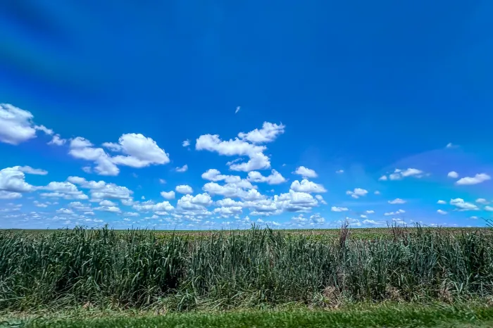 Foto: Roberto Dziura Jr/AEN