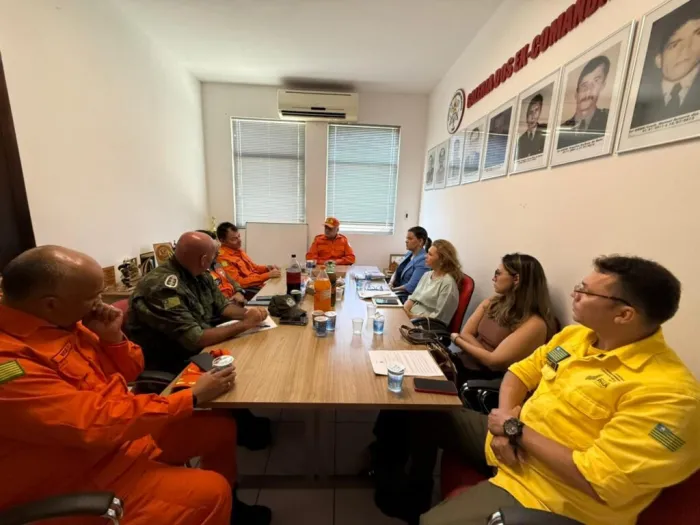 Semarh participa de reunião do Comitê Estadual de Prevenção e Combate a Incêndios Florestais