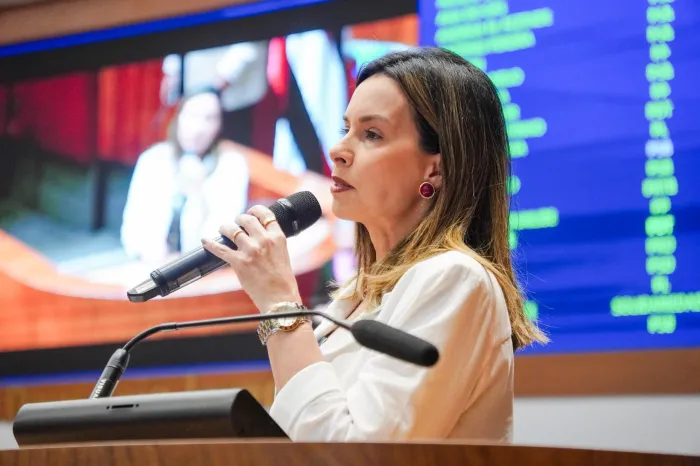 Dra. Vivianne destaca agenda de trabalho e inaugurações de obras na região Sul