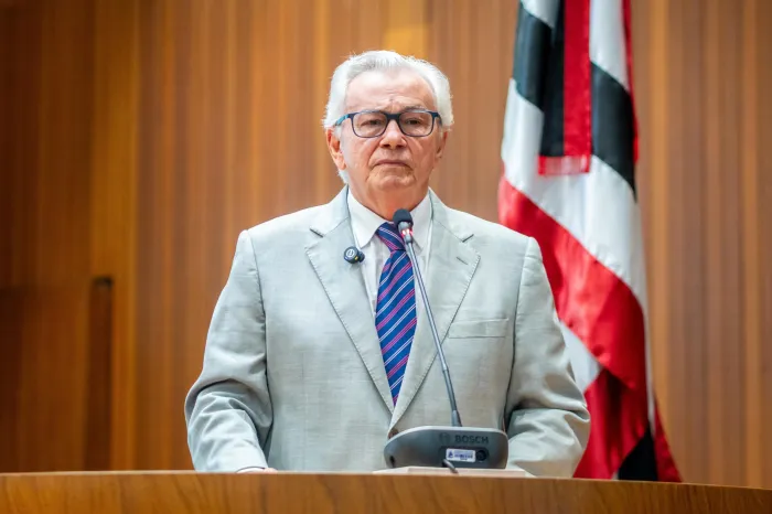 Alema aprova PL que trata da universalização e funcionamento das bibliotecas escolares