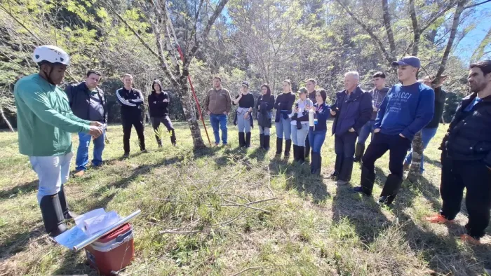 Pesquisadores treinam resgate de DNA e transplante de plantas nativas para reflorestar áreas atingidas pelas enchentes