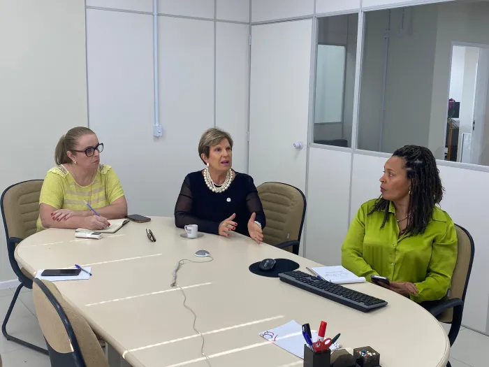 Assistência Social de SC reúne rede de proteção para discutir medidas emergenciais contra violência infantil