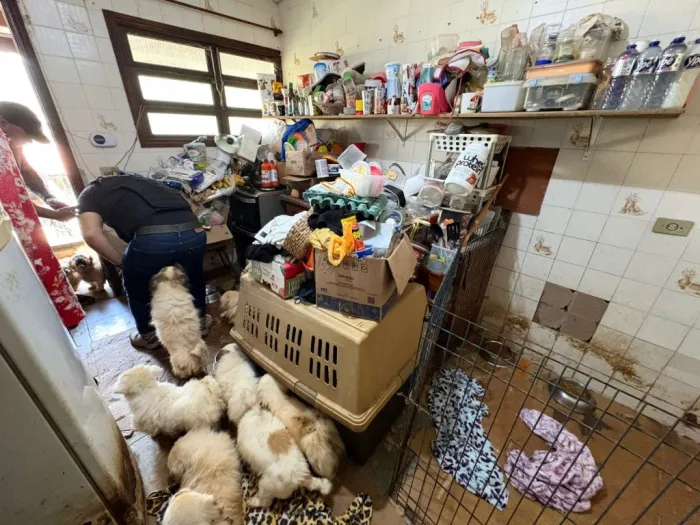 Polícia resgata mais de 100 animais em situação de maus-tratos na Grande SP
