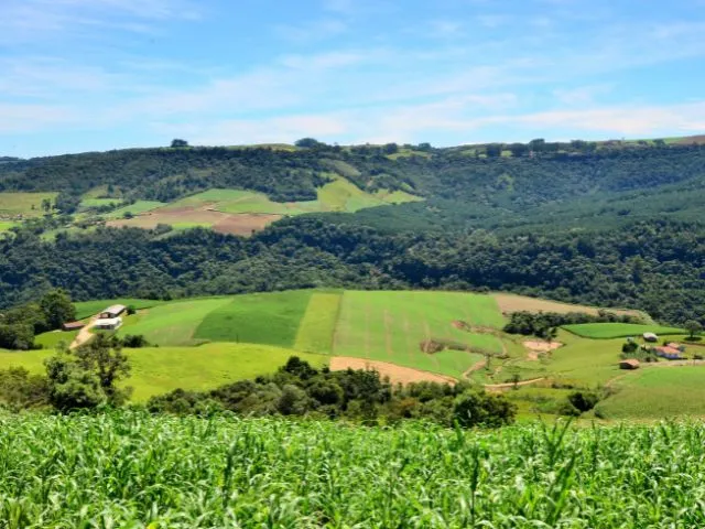 Foto: Reprodução/Secom SC