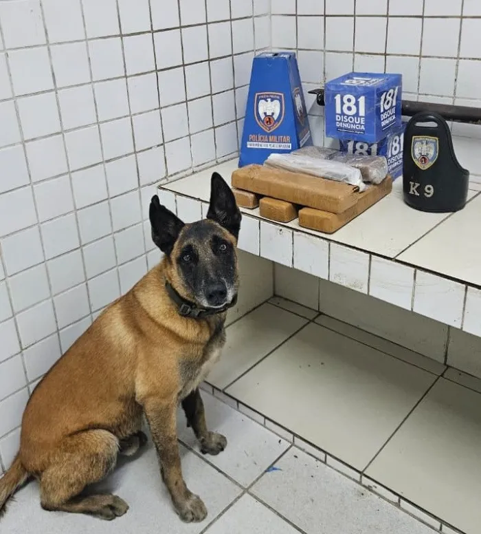 Foto: Reprodução/Polícia Militar - ES