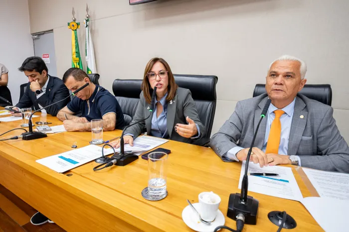 Foto: Rinaldo Morelli/ Agência CLDF