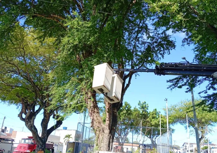 Sedurb realiza serviço de podas de árvores em quatro bairros nesta quinta-feira