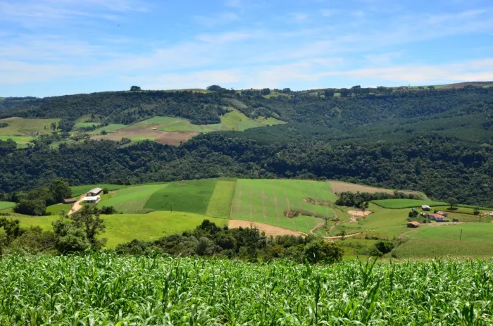 Foto: Reprodução/Secom SC