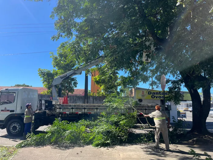Sedurb finaliza a semana realizando serviço de podas pontuais de árvores em João Pessoa