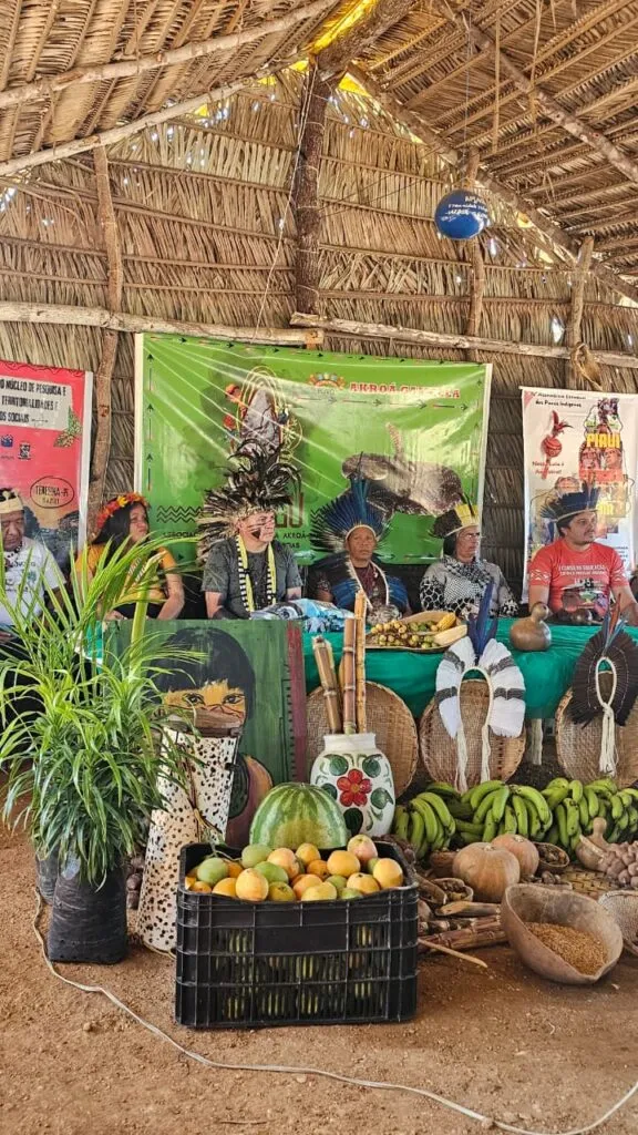 Sesapi participa da IV Assembleia dos Povos Indígenas do Piauí