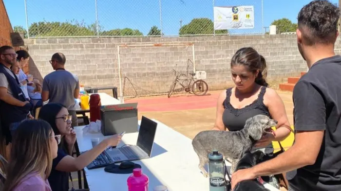 Bem-Estar Animal realiza 263 atendimentos na Estância Alvorada