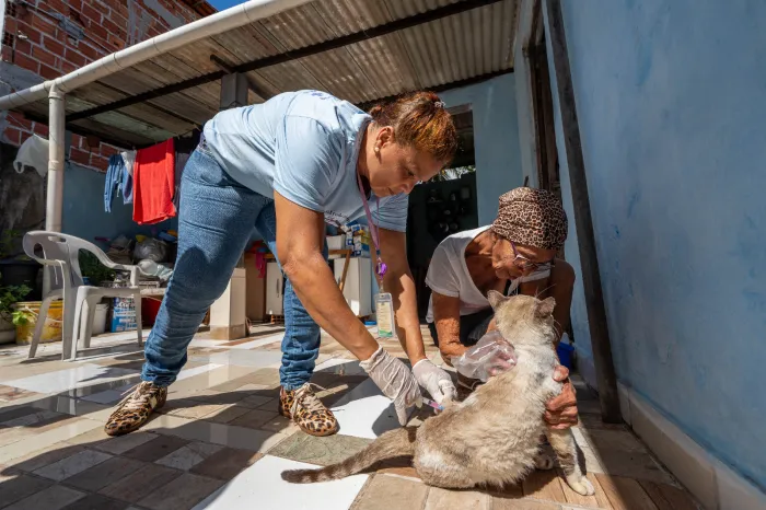 Vacinação antirrábica de cães e gatos segue em pontos fixos e visitas domiciliares
