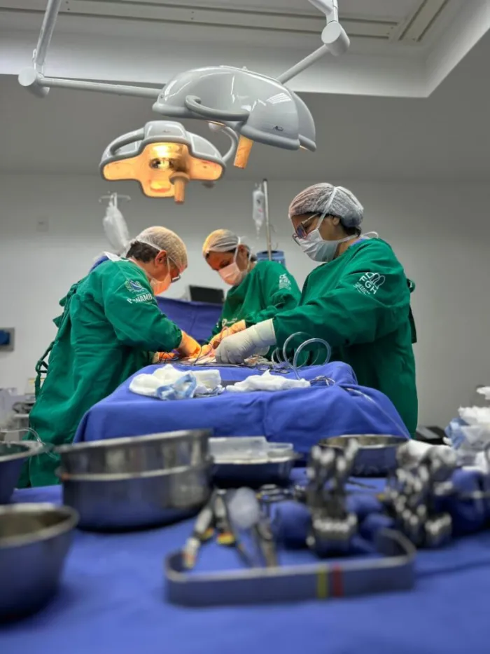 Setembro Verde reforça importância da doação de órgãos e firma termo de cooperação para ampliação dos transplantes de córnea