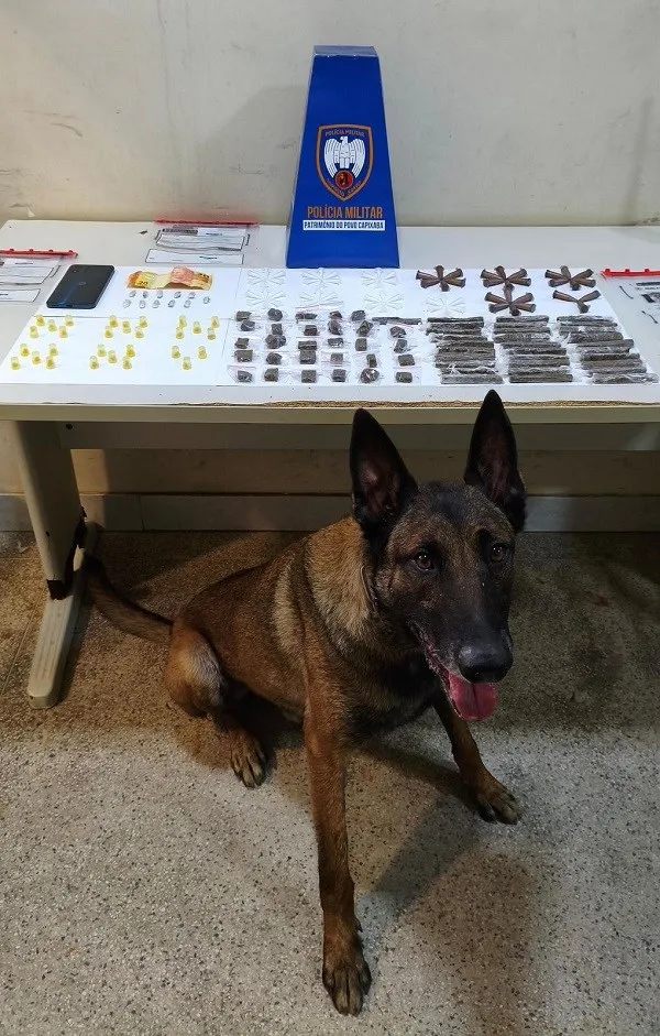 Foto: Reprodução/Polícia Militar - ES