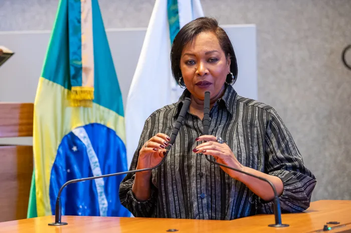 Tragédia em clínica de recuperação no Paranoá acende debate sobre saúde mental em plenário 