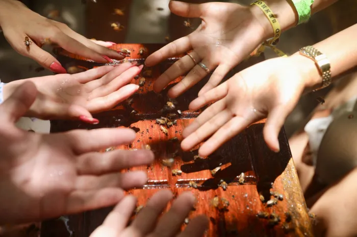 Foto: Ascom Sema|Inema