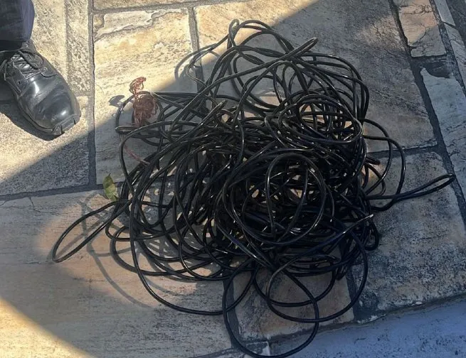 Novos policiais municipais flagram homem com fios de cobre, droga e munição de uso restrito