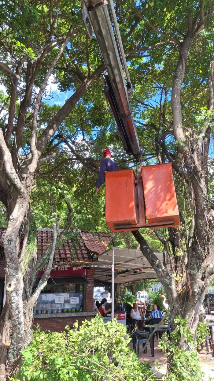 Equipes da Sedurb seguem realizando podas de árvores nesta quinta-feira, em João Pessoa