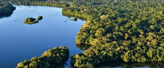 Fapema investe mais de R$ 700 mil em pesquisas voltadas à Amazônia