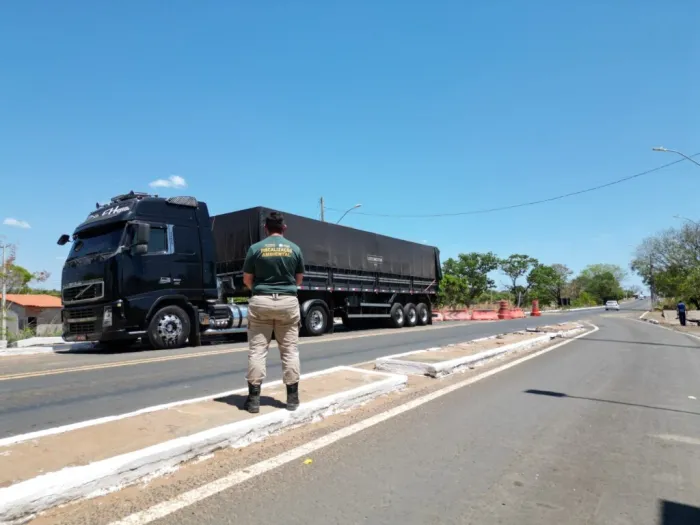 Operação Custodia Naturae já apreendeu 294 m³ de madeira ilegal no Piauí em 2025