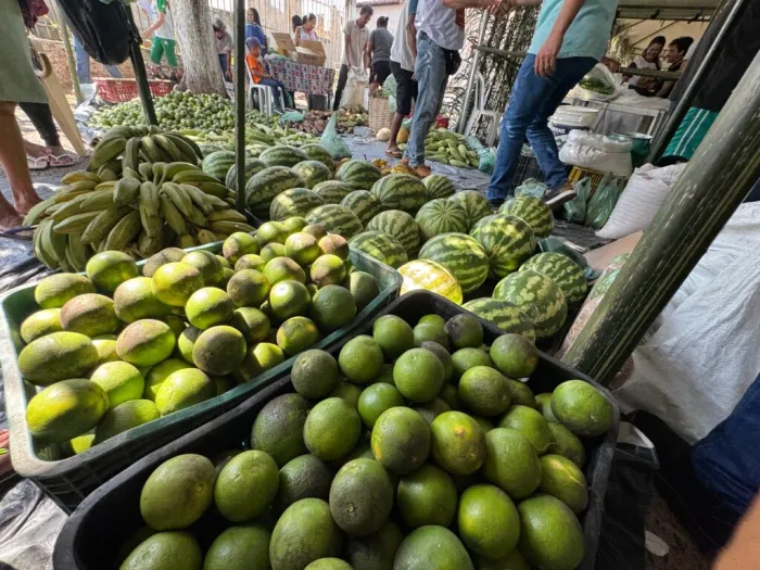 Com apoio da SAF, Feira da Agricultura Familiar de Miguel Alves promove comercialização de produtos
