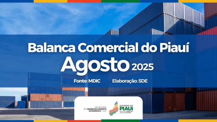 Balança Comercial do Piauí alcança superávit de R$ 493 milhões em agosto
