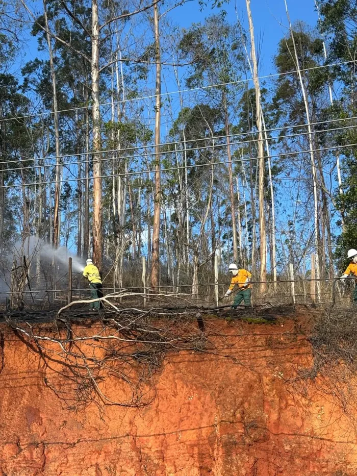 Prevines controla incêndio próximo ao Parque Estadual Mata das Flores durante treinamento