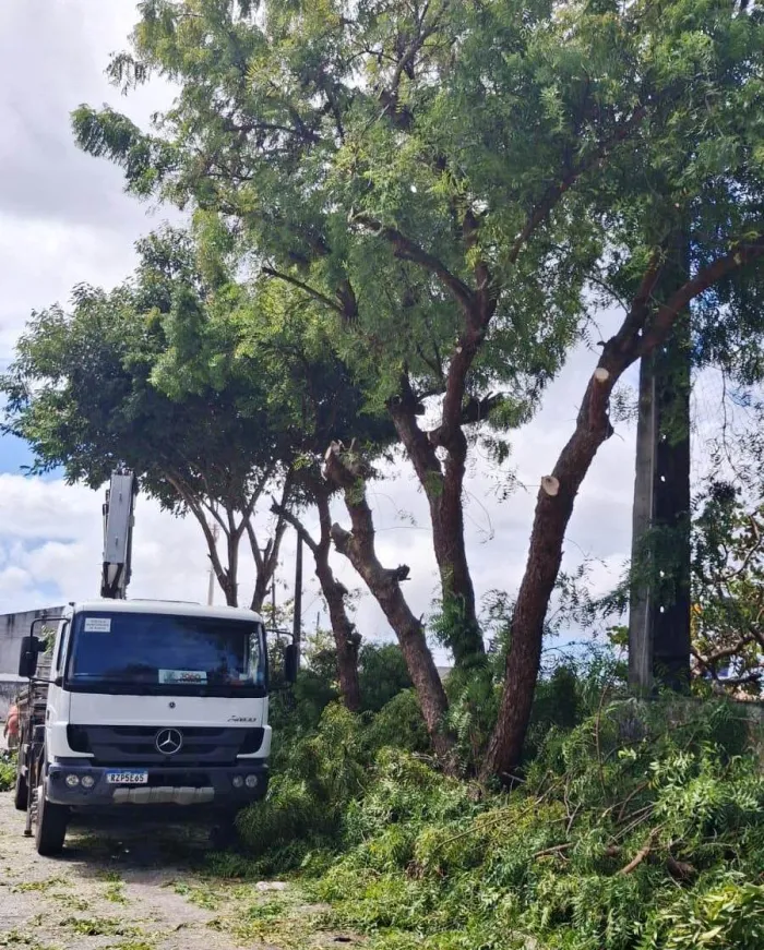 Serviços de podas de árvores continuam no fim de semana em João Pessoa