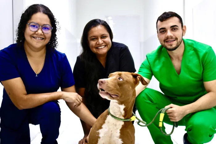 Serviços da Prefeitura de João Pessoa atuam na promoção do cuidado integral de animais e humanos