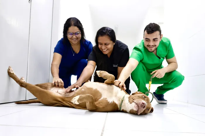 Prefeitura de João Pessoa e o olhar sobre a Saúde Única, onde manter sociedade e animais em harmonia é a palavra de ordem