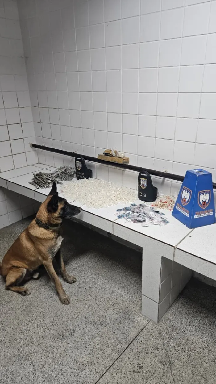 APREENSÃO DE ENTORPECENTES, MUNIÇÕES E ARMAS EM AÇÕES DO 6º BPM