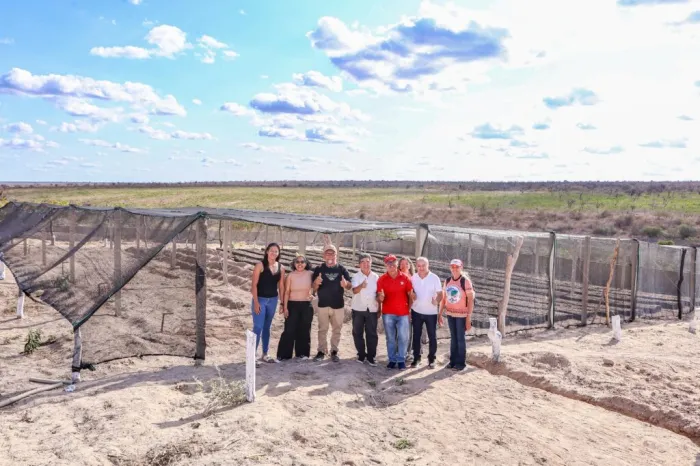 SAF investe R$ 1,7 milhão em viveiros de mudas de caju e fortalece a produção no Piauí