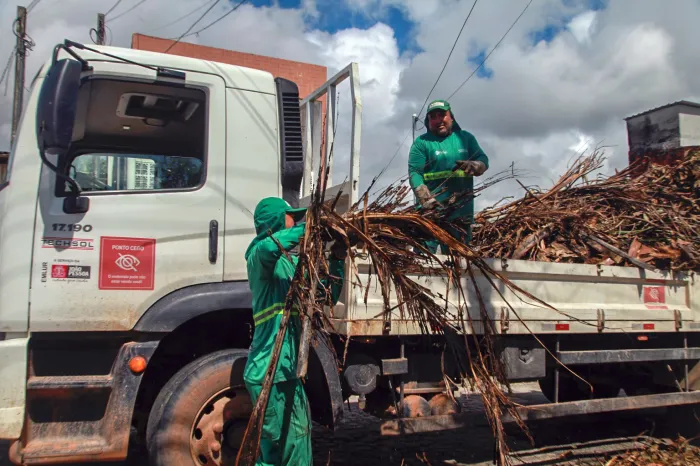 Serviço de coleta de resíduos de poda de árvores atende 20 bairros nesta terça-feira