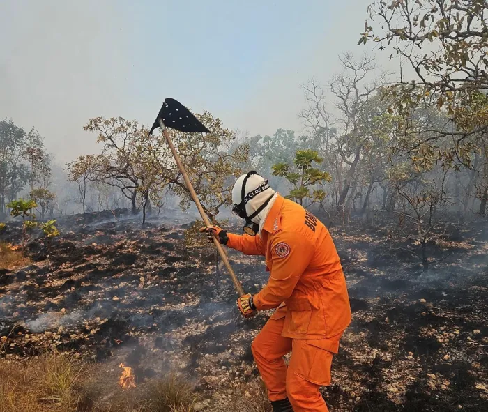Maranhão firma convênio com BNDES e garante recursos para proteção ambiental