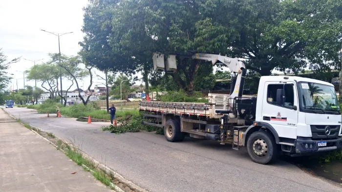 Prefeitura realiza podas de árvores nos bairros de Mangabeira e Castelo Branco nesta terça-feira