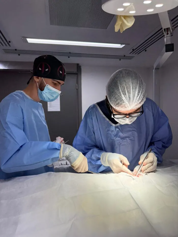 Hospital do Pet realiza primeira cirurgia torácica e consolida João Pessoa como referência na saúde animal