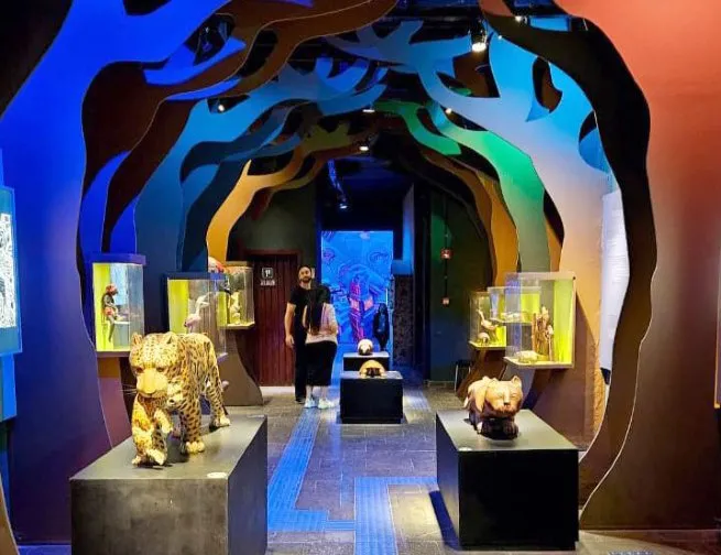 Casa do Patrimônio de São Sebastião articula parceria para preservação da Congada