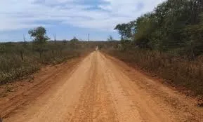 Foto: Reprodução/Secom Piauí