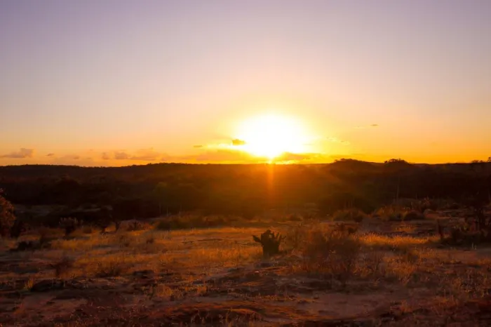 No Dia do Cerrado, Piauí mostra que dá pra crescer sem destruir