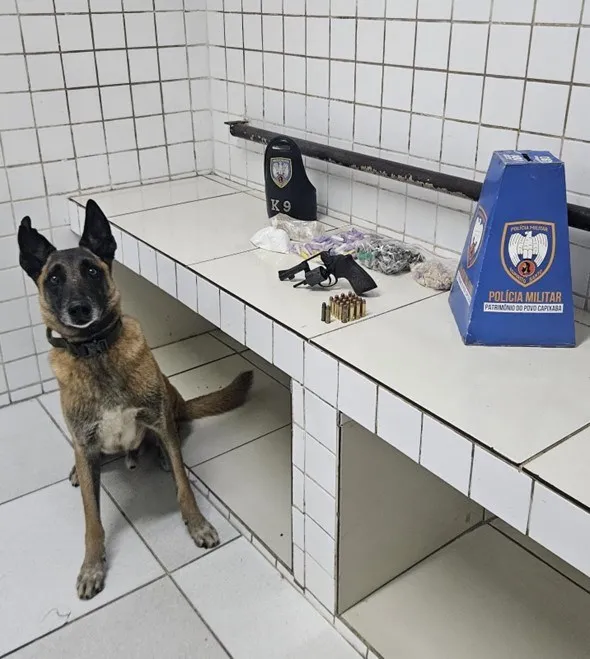 6º BPM DETÉM SUSPEITO E APREENDE ENTORPECENTES E ARMAS DE FOGO NA SERRA