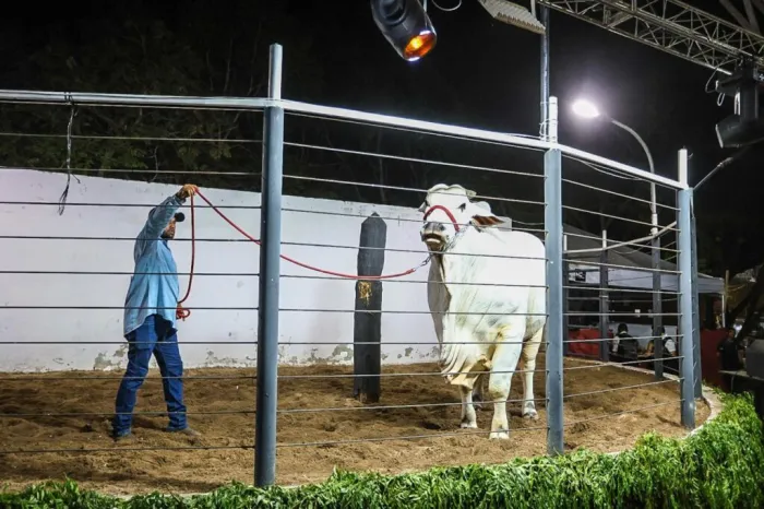Sada participa da Expopiripiri 2025 e apresenta programa “Piauí Mais Genética”