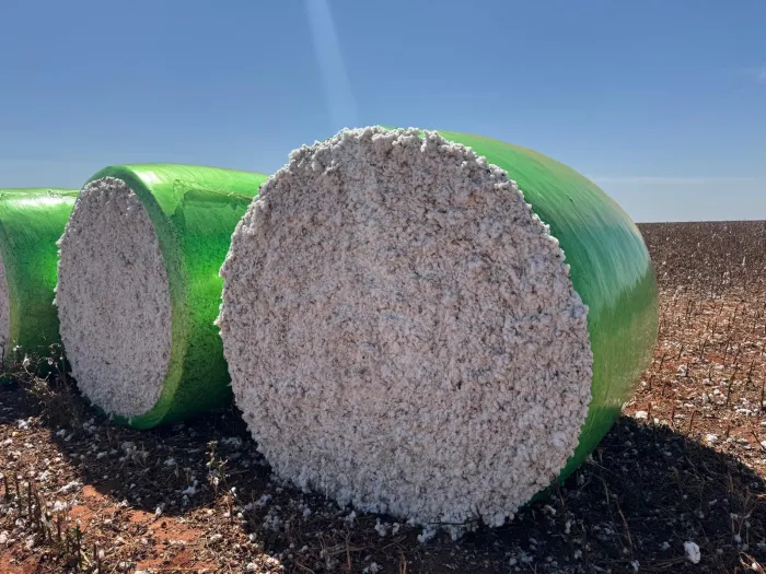 Foto: Divulgação/Ascom Adab