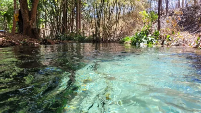 Secretaria do Meio Ambiente inicia monitoramento de nascentes no Piauí a partir de Ribeiro Gonçalves