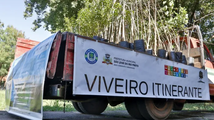 Semana da Árvore começa nessa sexta com plantio de 70 Ipês-amarelos