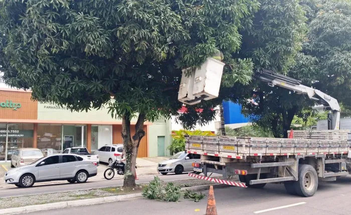 Serviços de podas de árvores acontecem nos bairros do Rangel e Manaíra nesta terça-feira