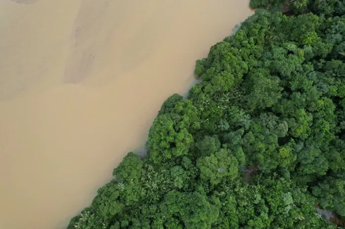 Portaria Conjunta abre seleção para criação de nova RPPN na bacia do Rio Doce