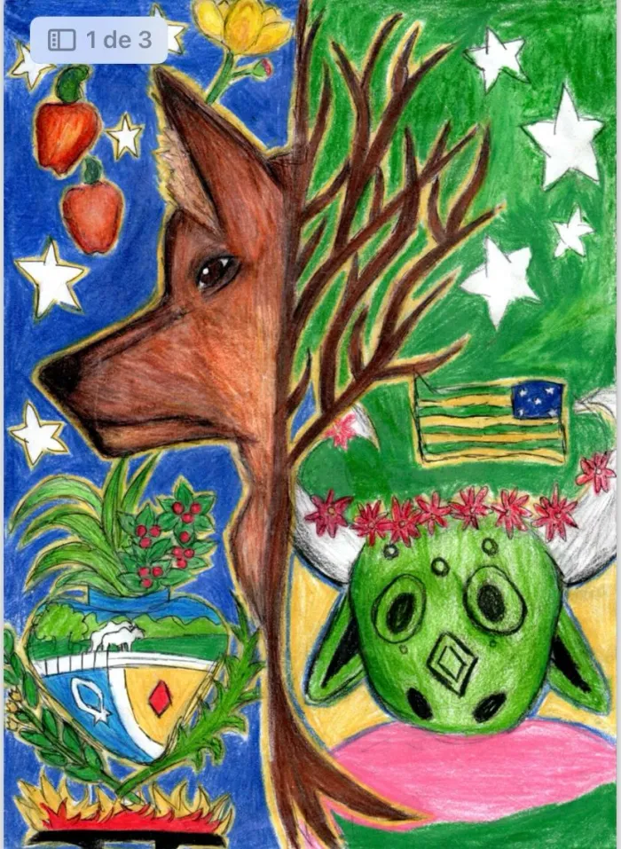 Educação divulga vencedores para estampar capas dos cadernos